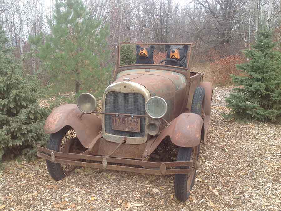 Two bears carved by Niedermayer now sit happily in an antique 1929 Ford truck