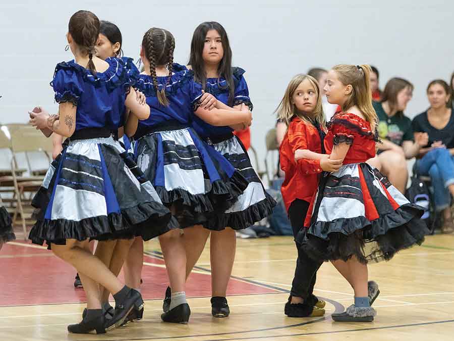 The Interlake Steppers