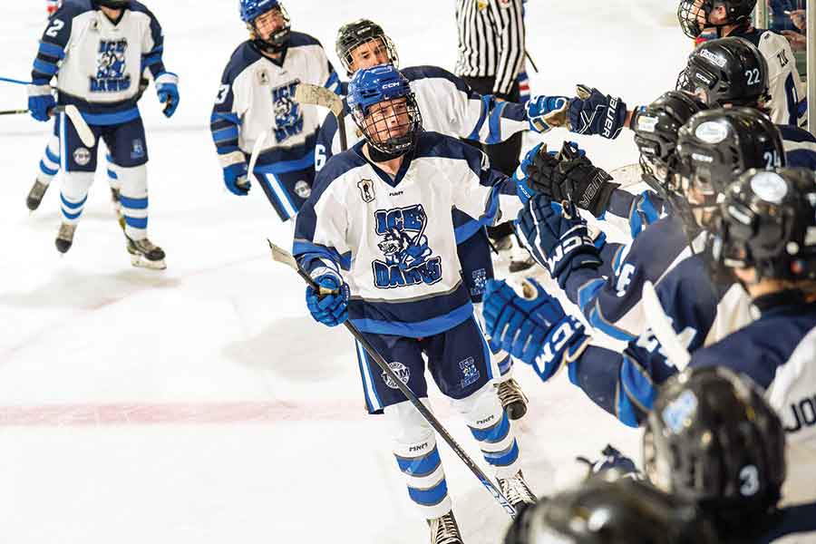 Arborg Falcons’s Tavyn Sigurdson celebrates with teammates after scoring a third-period power-play goal against Beausejour on Friday