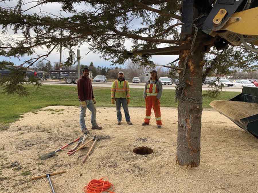 Terrell Weik and Bryceson Weik of Weik Construction, and Town of Arborg Public Works employee Steve Dykstra, assist with the installation of Arborg’s 2025 Christmas tree
