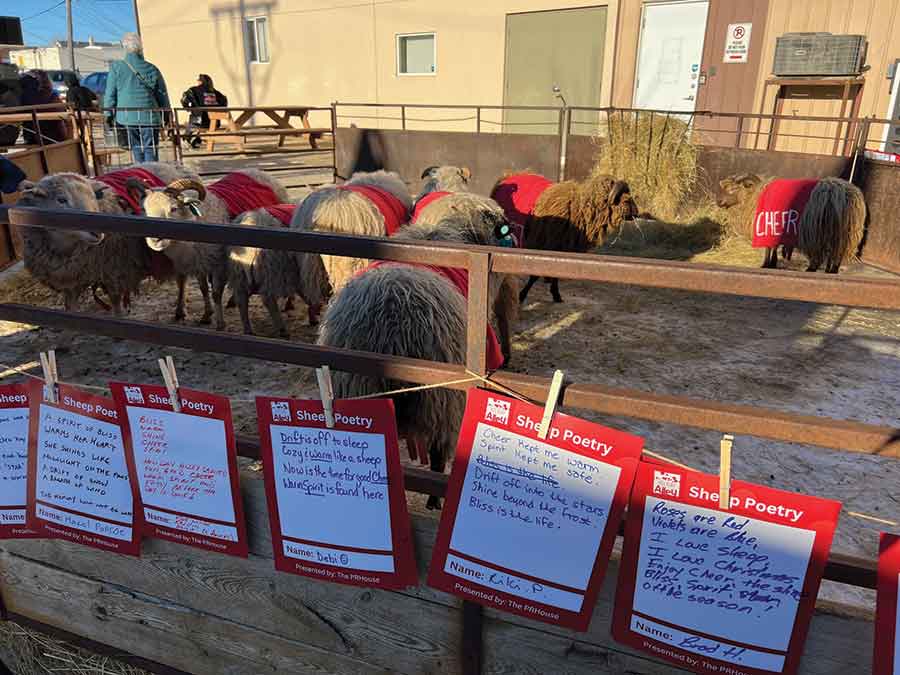 Sheep Poetry on Holiday Alley is made possible by Arborg farmer Arik Lindal and his handsome sheep