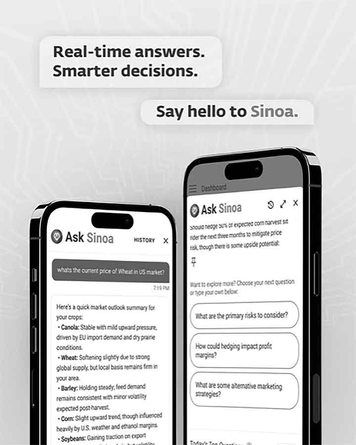 Sinoa provides users with fact checked, data-backed answers in minutes, setting the program apart from typical AI bots