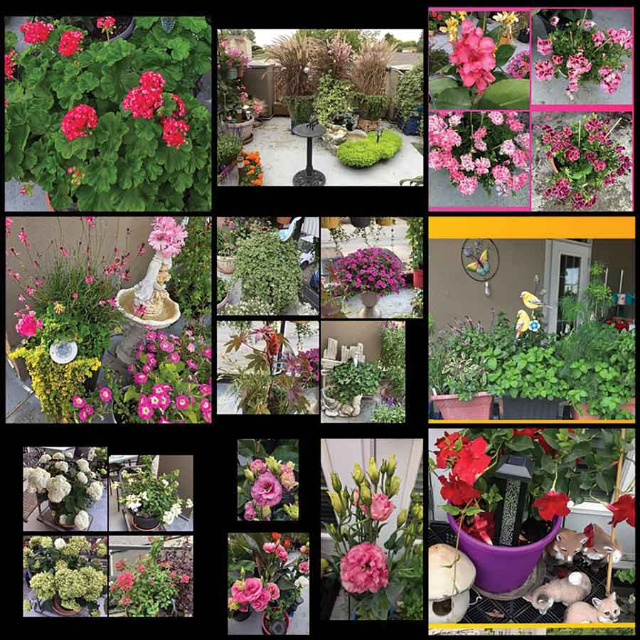 The Gimli Garden Club highlighted local gardening talent through its first annual Garden Contest, drawing imaginative entries from across the Interlake