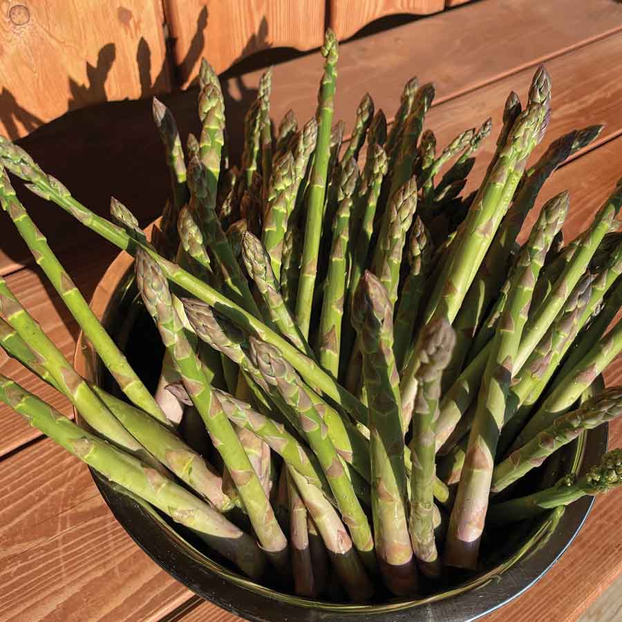 Orders for fresh asparagus are being taken now