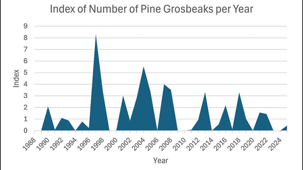 A graph shows Pine Grosbeak population index changes over time for the Balmoral Christmas Bird Count, based on long-term volunteer monitoring data