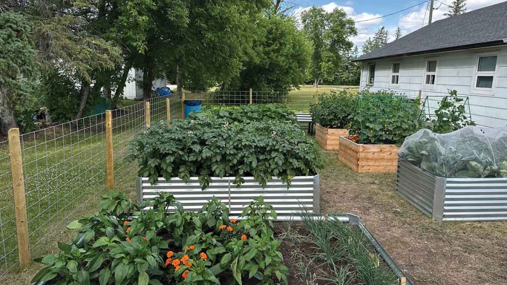 Adam Roberts, manager of Teulon Red River Co-op; Teulon & District chair Linda Lamoureux; secretary-treasurer Margaret MacDonald; vice-chair Jen Chartrand; and local Elder/member Debbie Chartrand