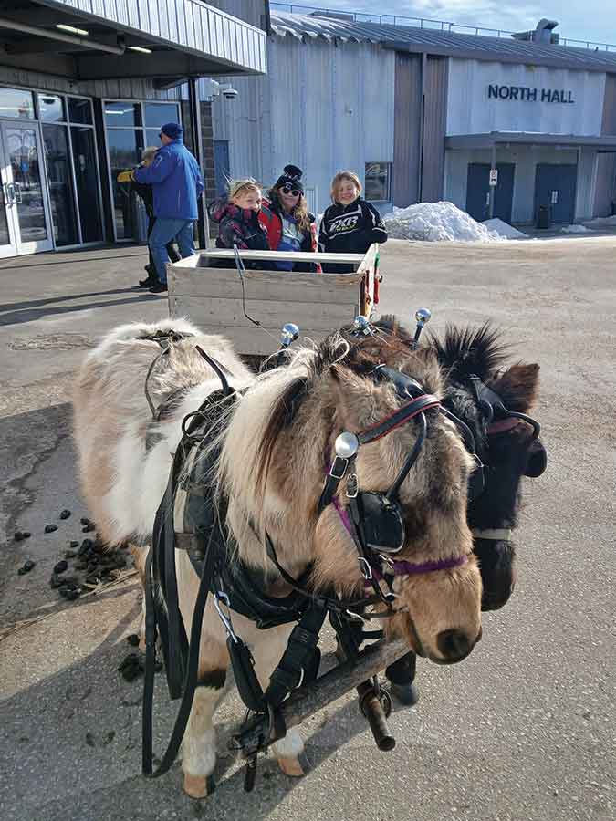 Colt and Shadow give Ellie, Robyn, and Edda a ride