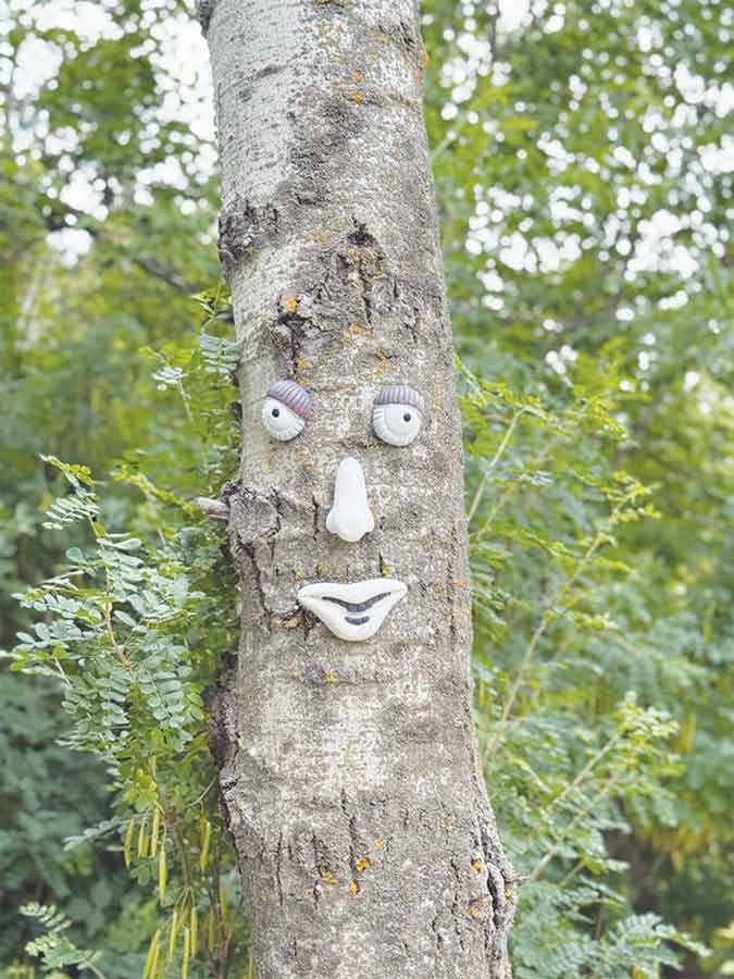 Decorated trees along a Grosse Isle trail — the inspiration for Corey King’s Something Must Be Done — have become familiar “friends” for local families