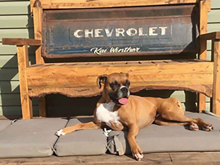 Richard Schellenberg turned his late grandfather’s original tailgate into a custom bench, preserving a piece of family history