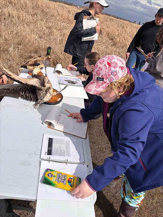 Students tested their knowledge by identifying bird specimens