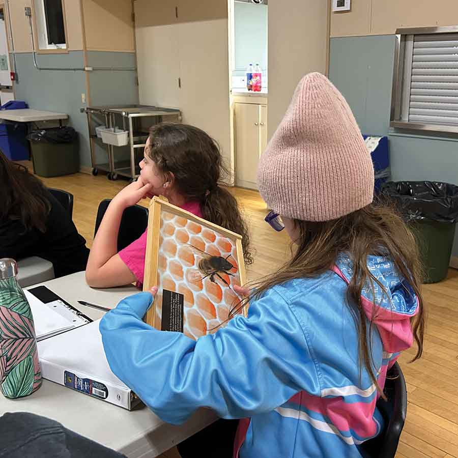 Gracie Bergen studies an informational bee frame