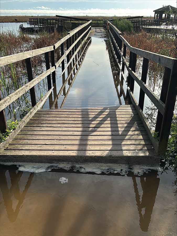 Rising floodwaters at Oak Hammock Marsh submerged sections of boardwalks and trails following the historic June 9-10 storm